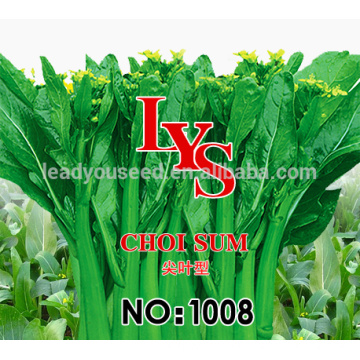 CS01 LJ 50 Tage frühe Reife grüne Choy Summe Samen für die Aussaat
